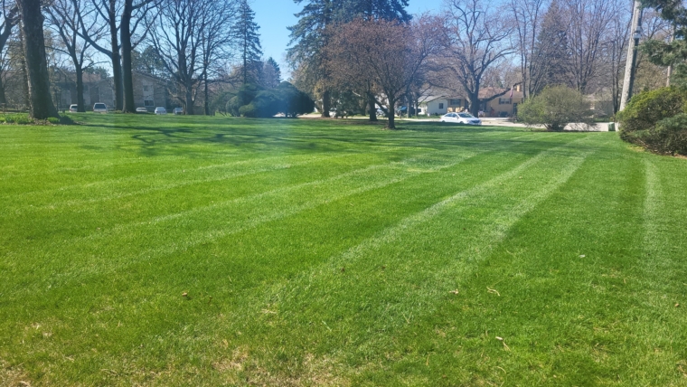Planting for Privacy