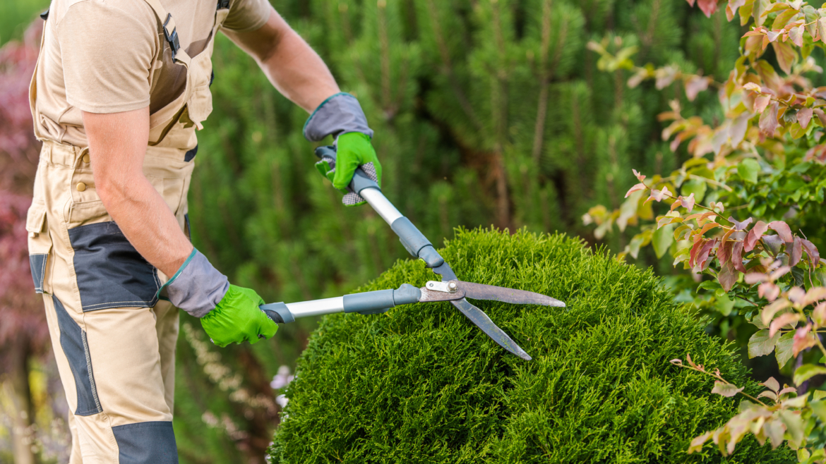 Trimming