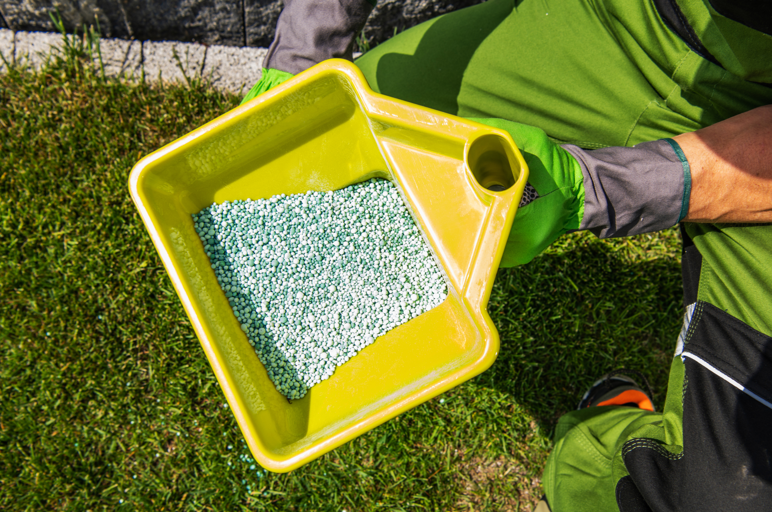 Spotless Lawn Grass
